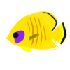 熱帯魚２