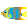 熱帯魚３